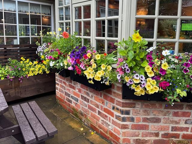 Commercial Hanging Baskets Services in Pickering