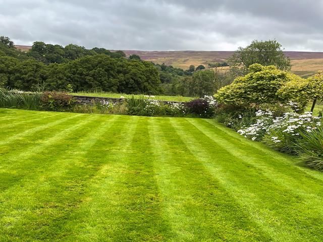Grass Cutting