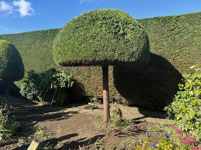 Garden Maintenance